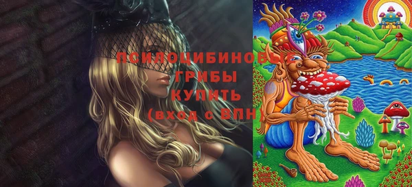 гидропоника Белокуриха