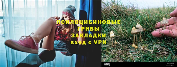 гидропоника Белокуриха
