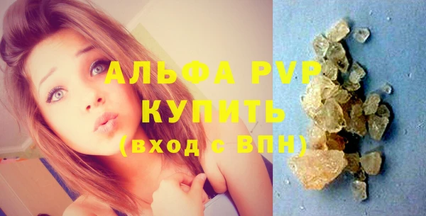 индика Богданович