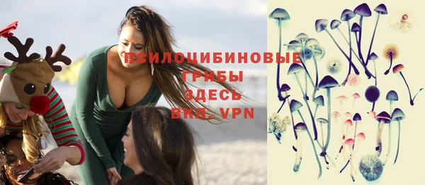 гидропоника Белокуриха